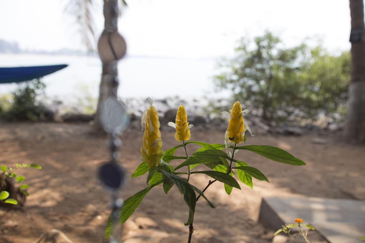 ホテルKala Bahia Patnem Beach エクステリア 写真